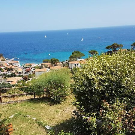 Hotel Gallo Nero Sant'Andrea  Exterior photo
