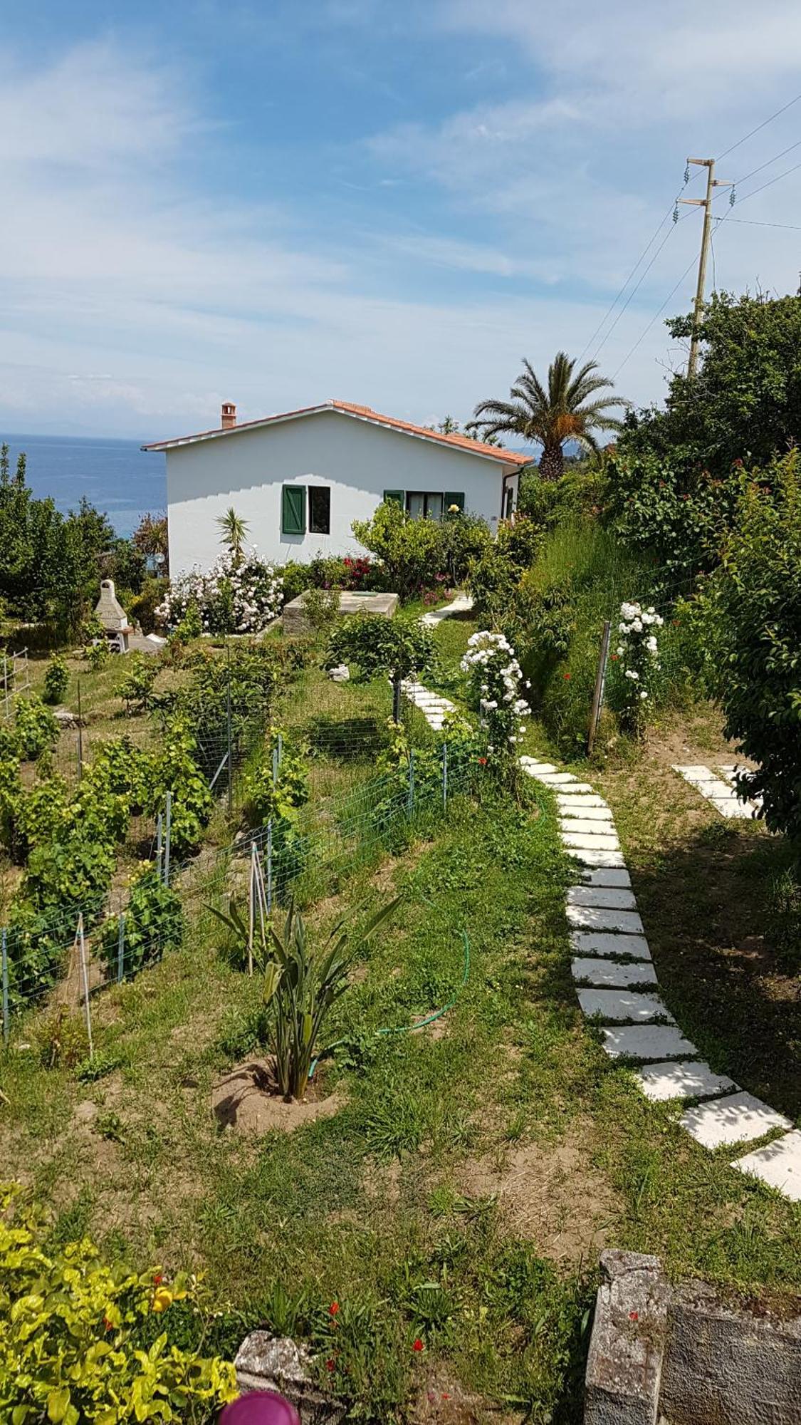 Hotel Gallo Nero Sant'Andrea  Exterior photo